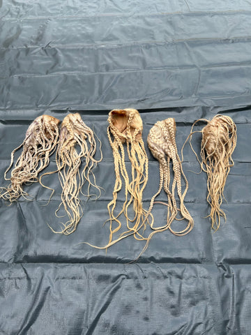 BRAIDED BLONDE WIG