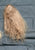 BLONDE WIG